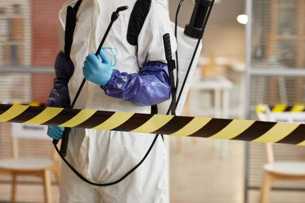 Professional Sewage Cleanup technician working in Pilger, NE